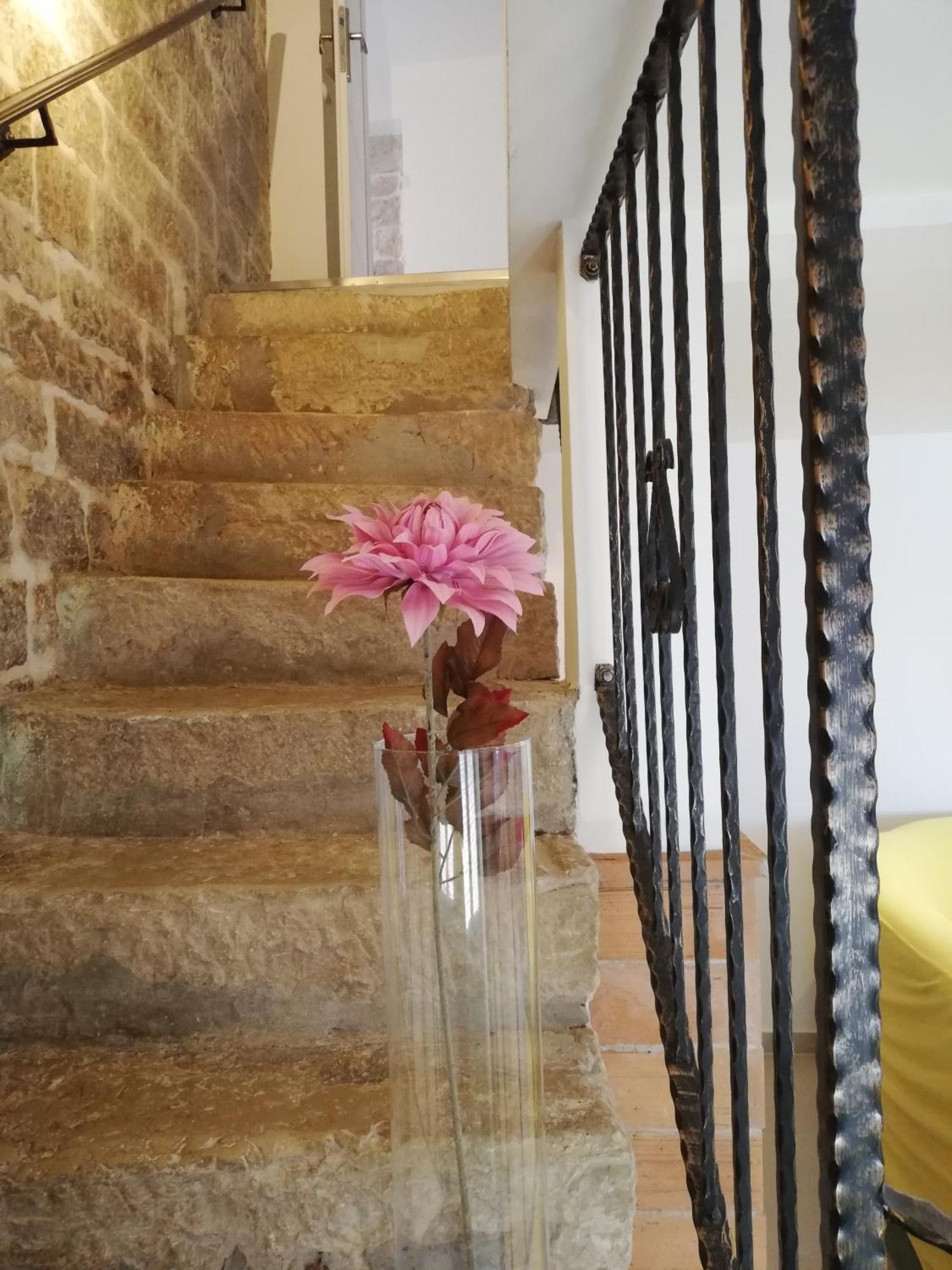 Vila Lory Sveti Lovreč Pazenatički Exteriér fotografie
